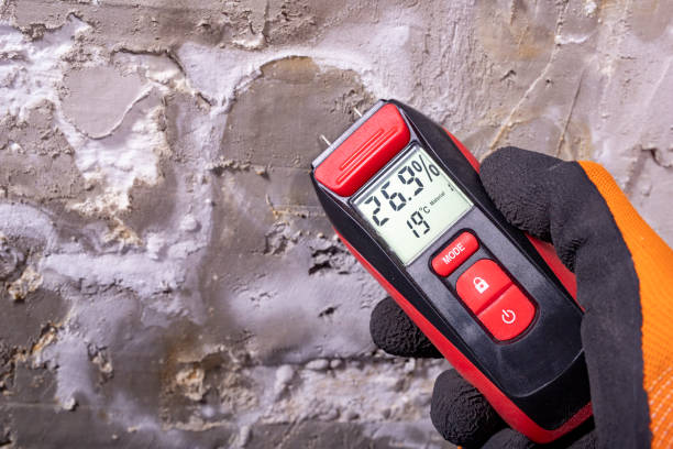 Chester, CA Mold Removal Company