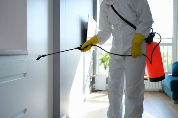 Best Crawl Space Mold Removal  in Chester, CA
