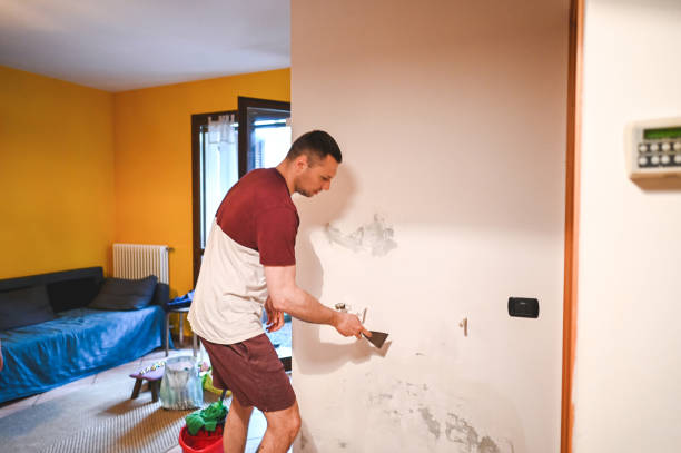 Best Attic Mold Removal  in Chester, CA